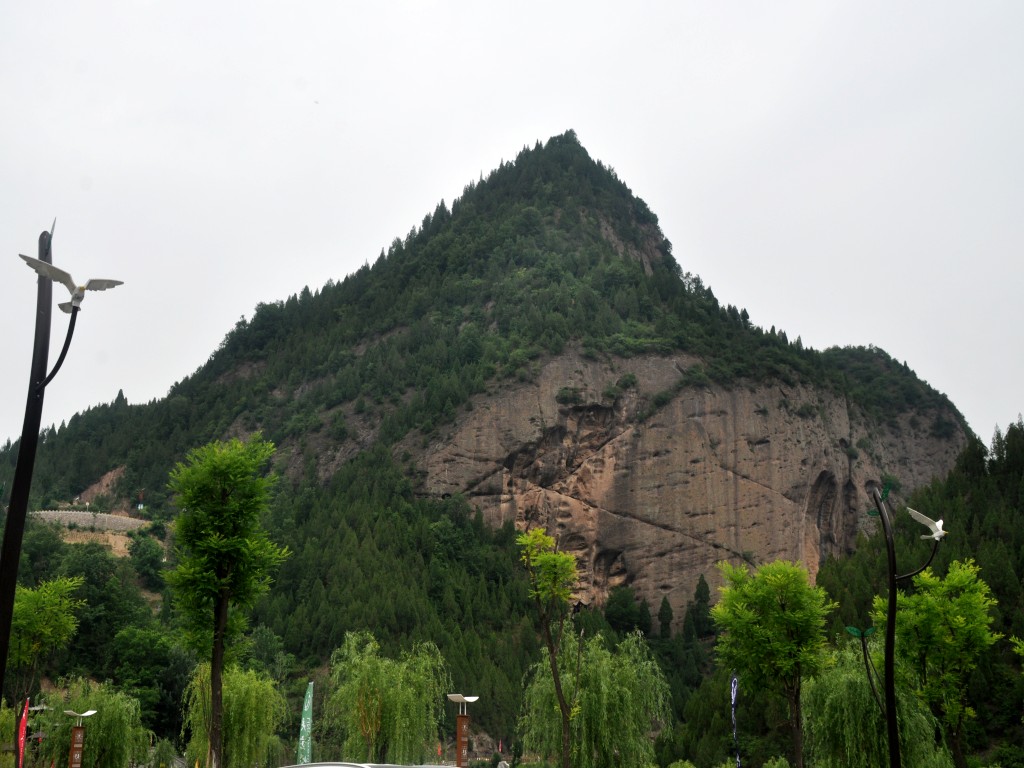 DSC_0011_conew1.jpg