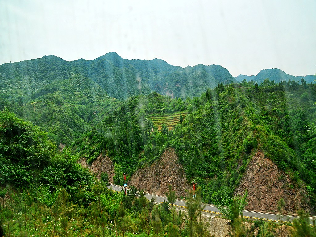 DSC_0111_conew1.jpg