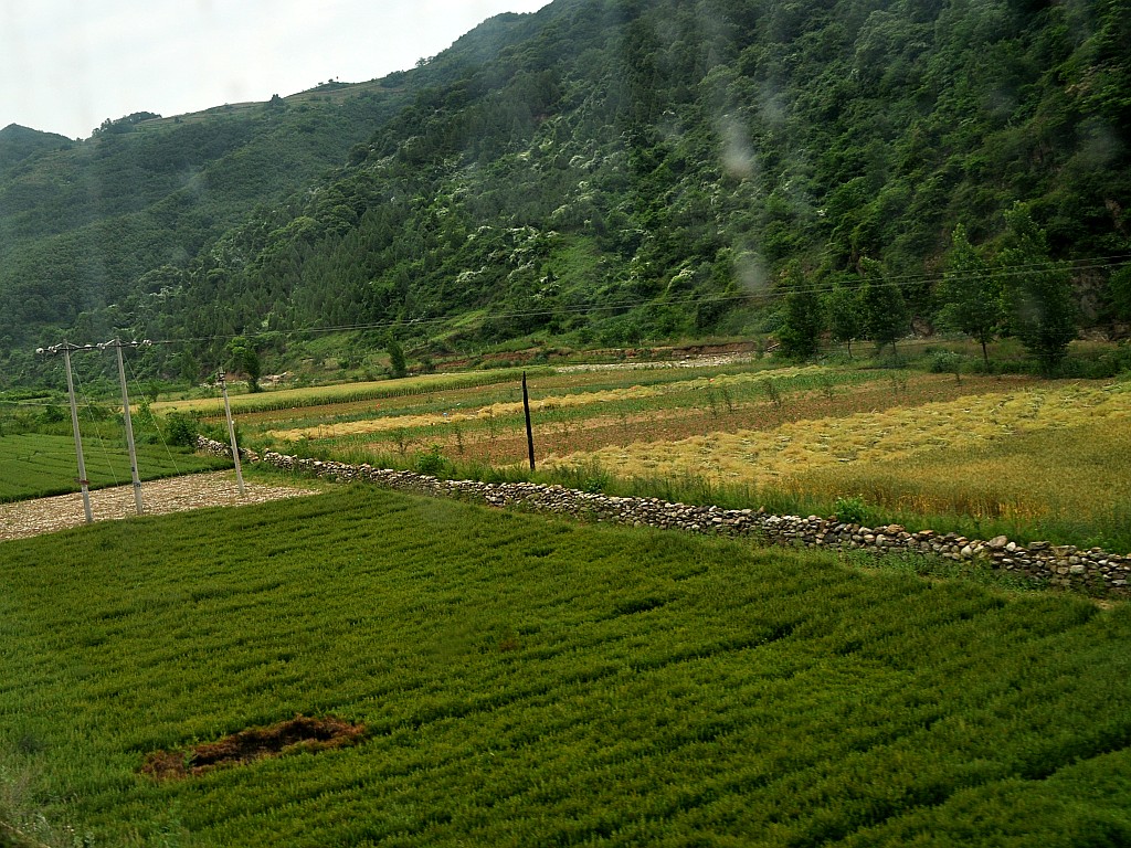 DSC_0120_conew1.jpg