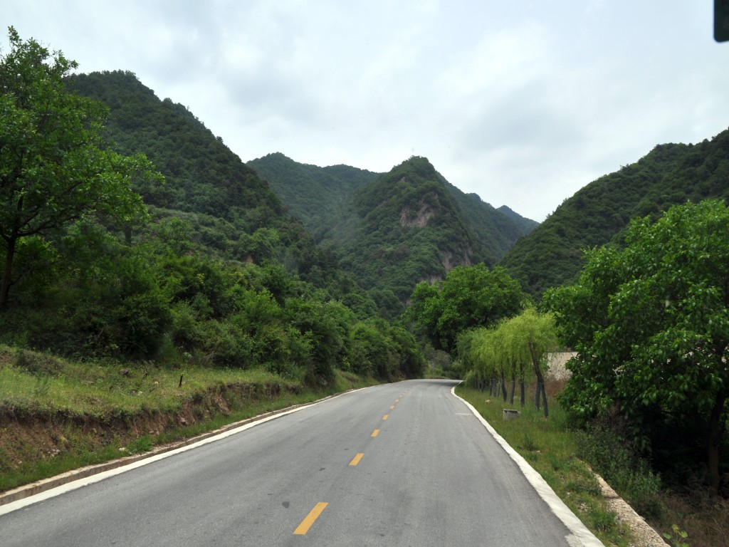 DSC_0179_conew1.jpg