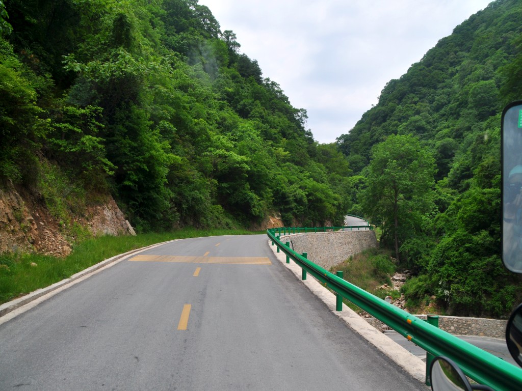 DSC_0191_conew1.jpg