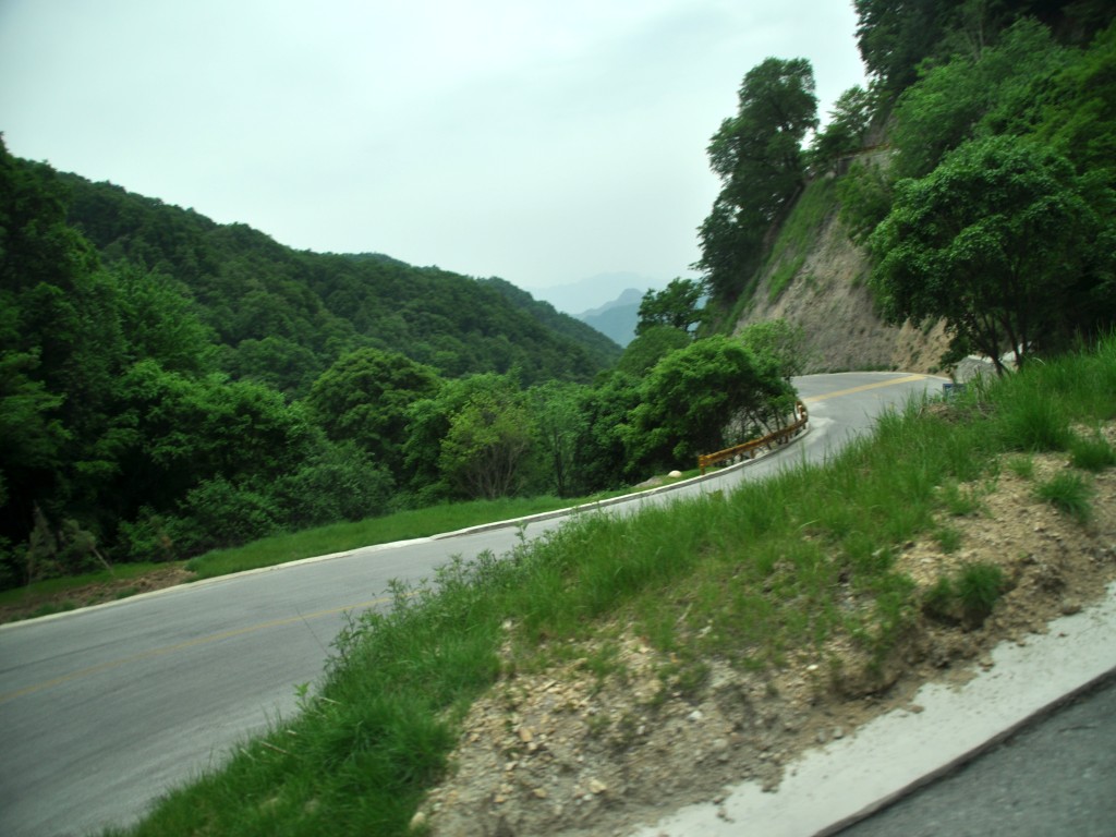 DSC_0459_conew1.jpg