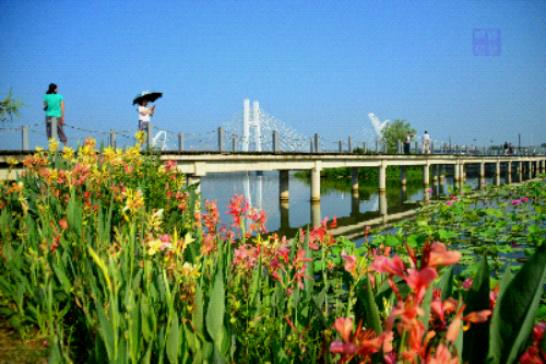 DSC_0040_o,.jpg