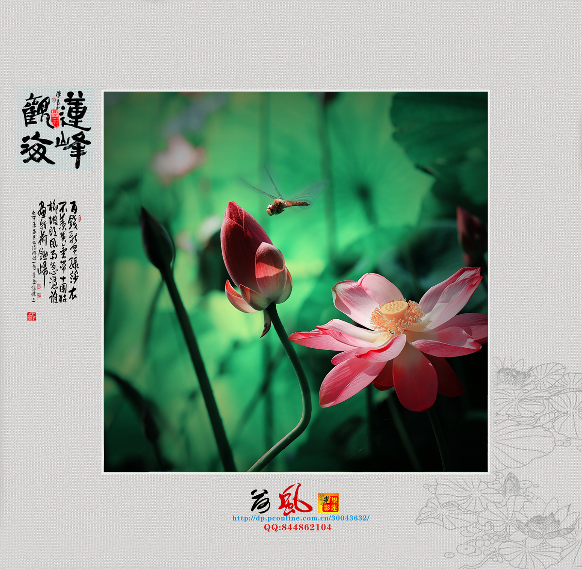 荷15.jpg