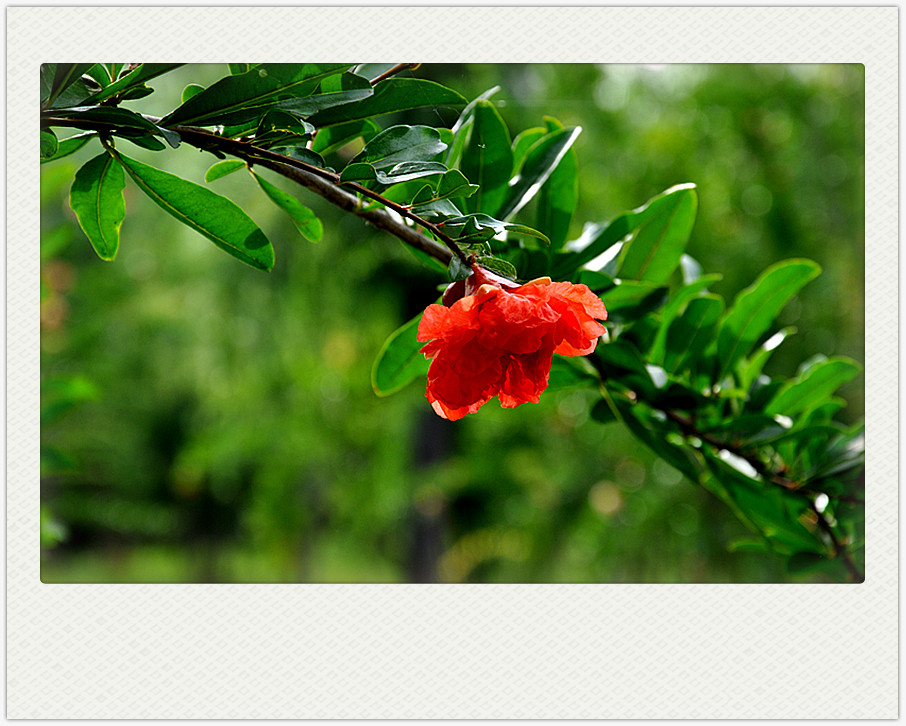 dsc_0264_副本.jpg