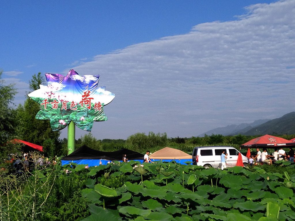 IMG_20170706_180255副本.jpg
