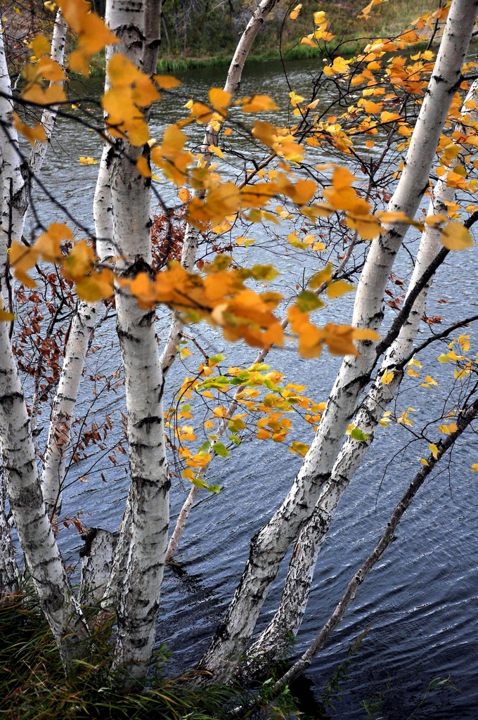 《蛤蟆坝水库》 曹凯军摄.jpg