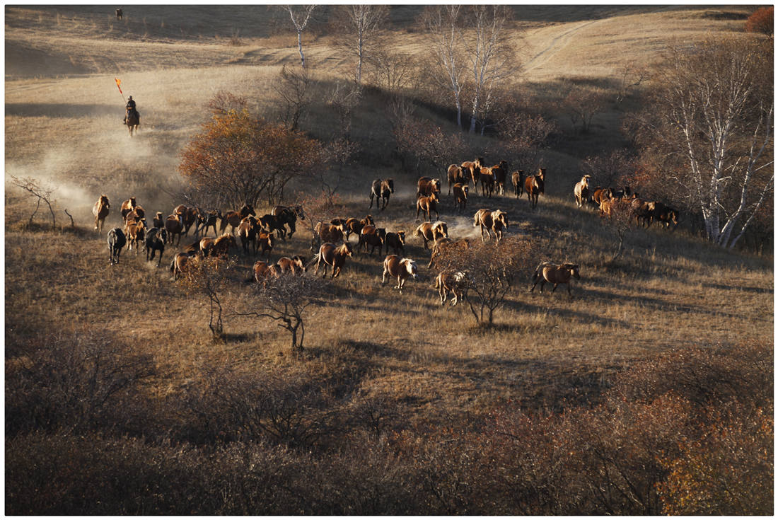《牧马人》周明摄.jpg