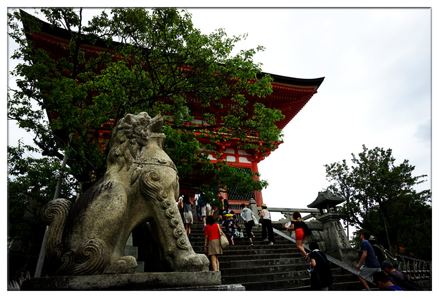 dsc00554_副本.jpg