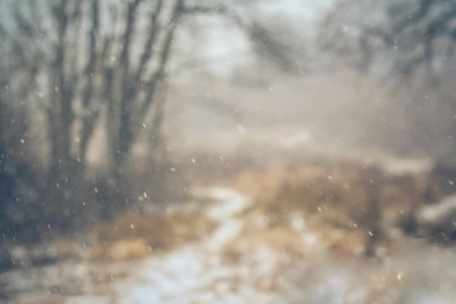 6e2c5763dffa3084af7190063f9365d4 (1).jpg