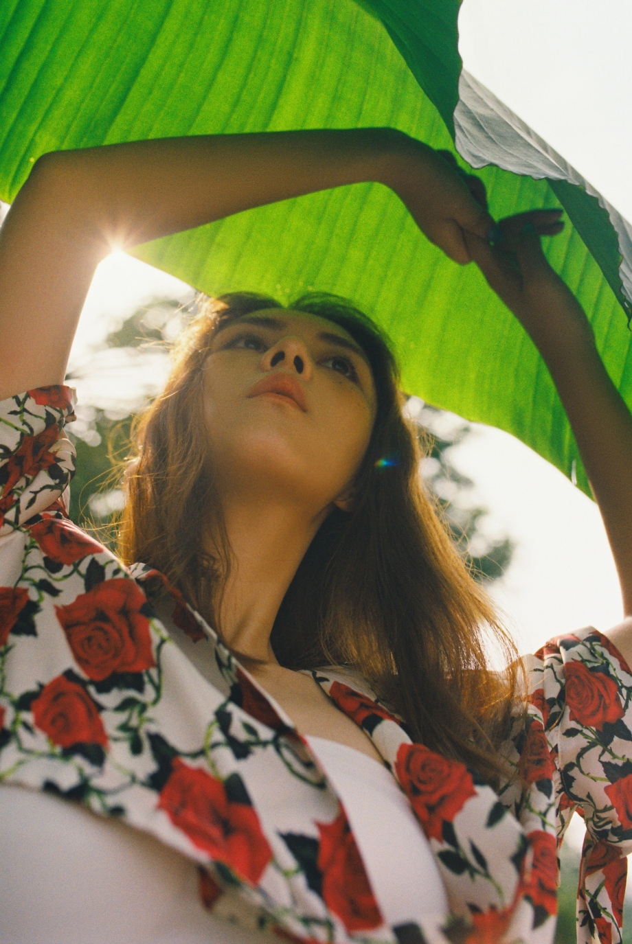 e7b464c0a727356b8c3220368184ebe6 (1).jpg