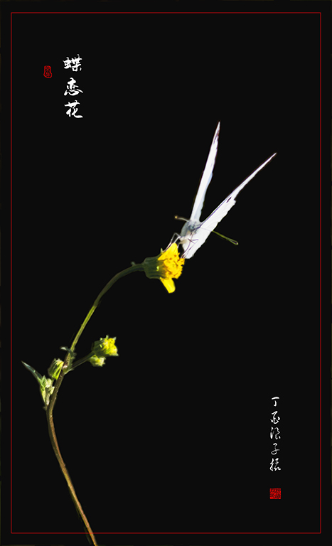 LIU_7807副本2副本.jpg
