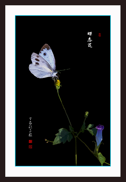 LIU_7821副本3副本.jpg