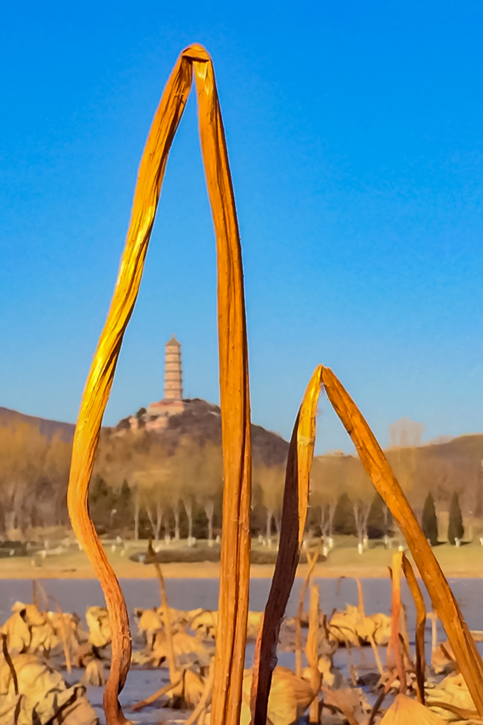 微信图片_20171226151105 拷贝.jpg