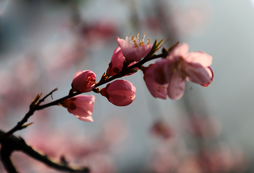 IMG_5239副本.jpg