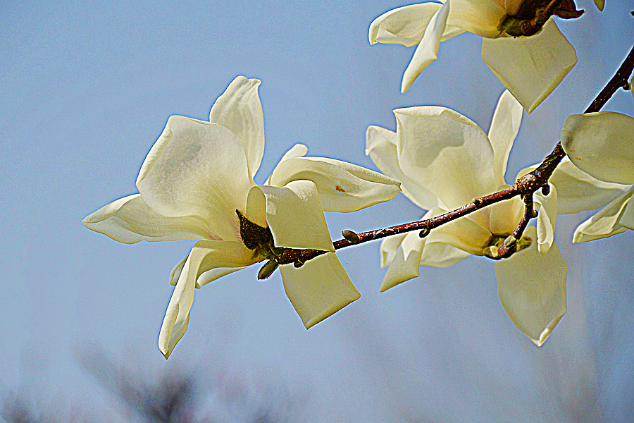 nEO_IMG_DSC_7884.jpg