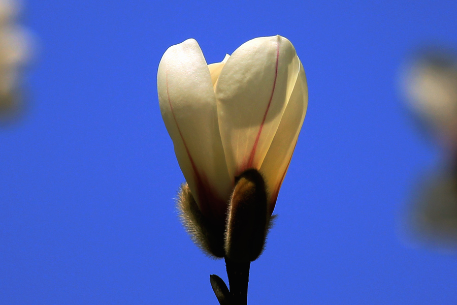 MG_9370.jpg