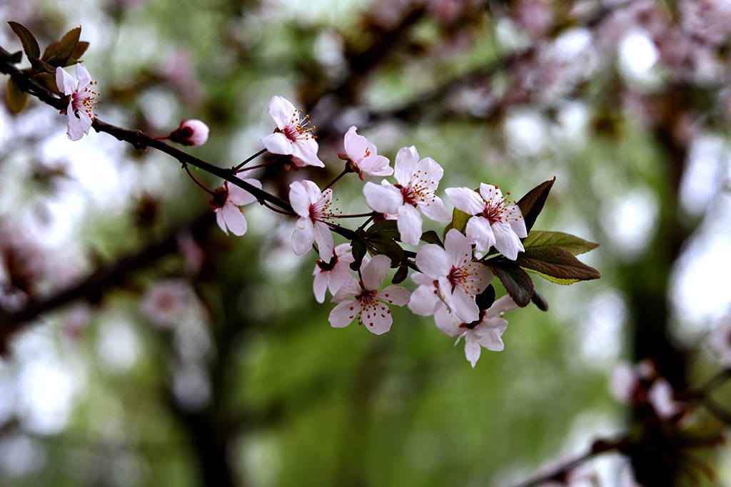 IMG_3582副本.jpg