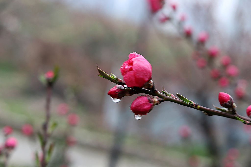 IMG_3599副本.jpg