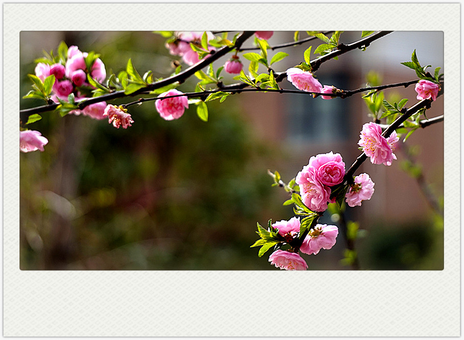 dsc03347_副本.jpg