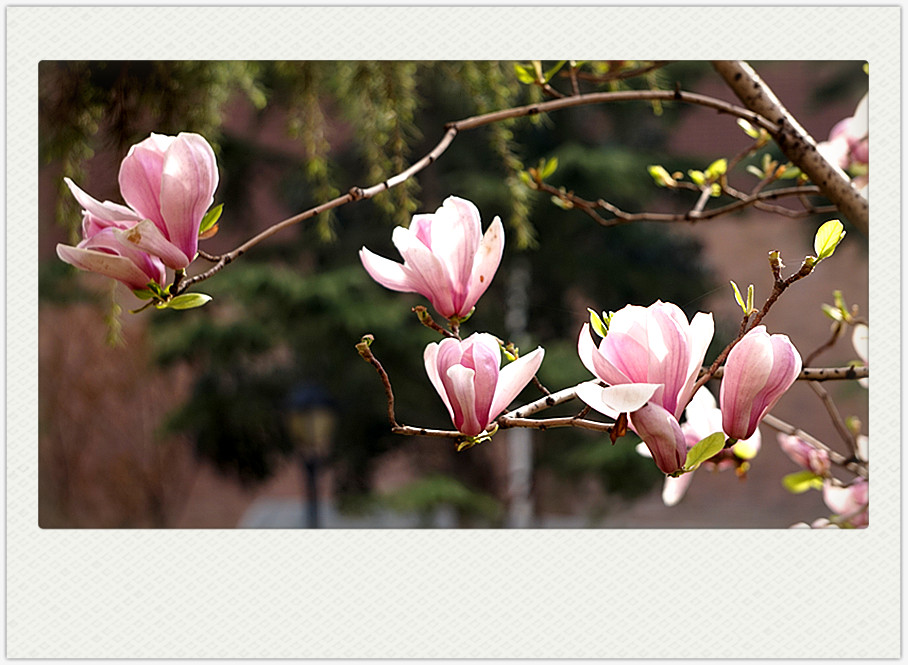 dsc03380_副本.jpg