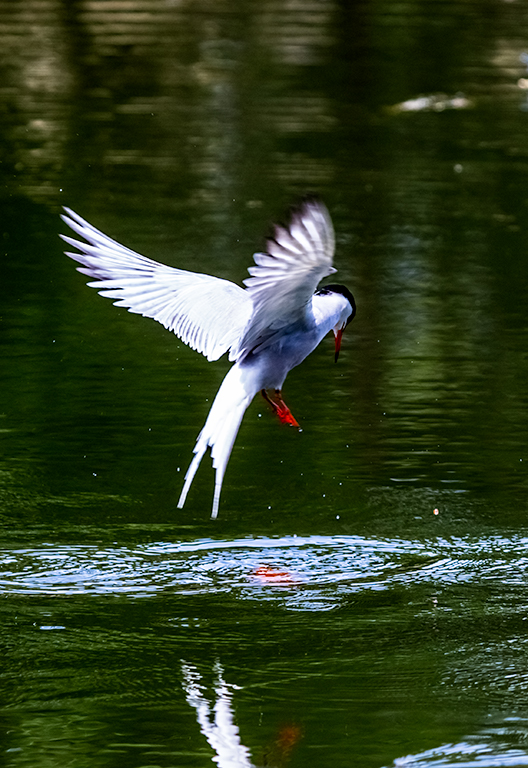 _LY60845副本 2.jpg