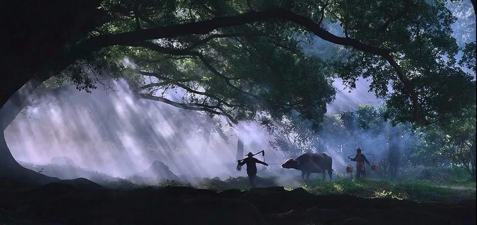 《杨家溪》 郭美先 摄.jpg