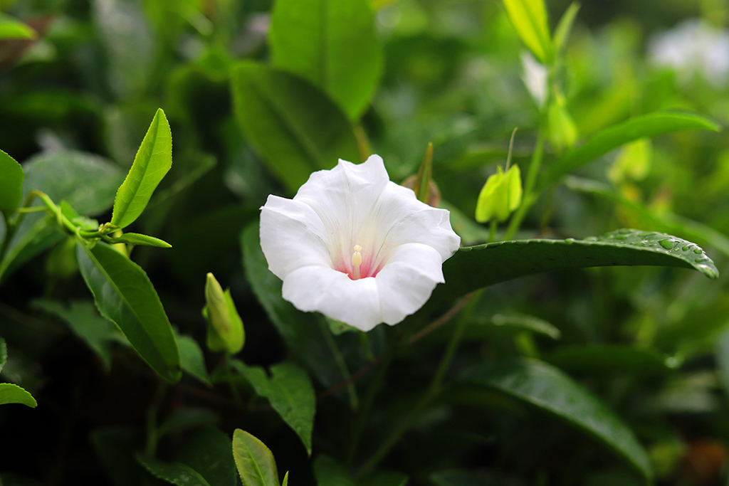 IMG_5742副本.jpg
