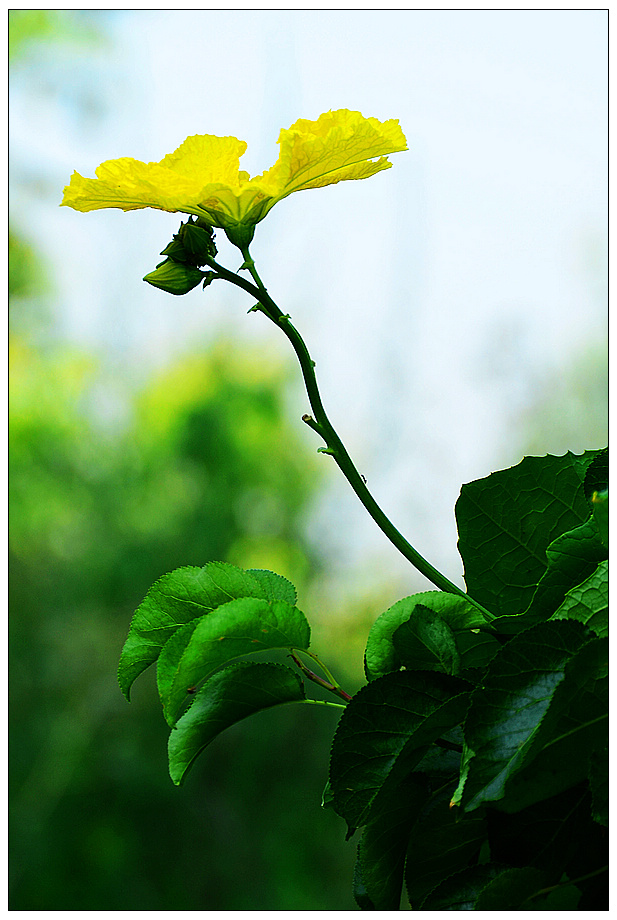 nEO_IMG_DSC_9894.jpg