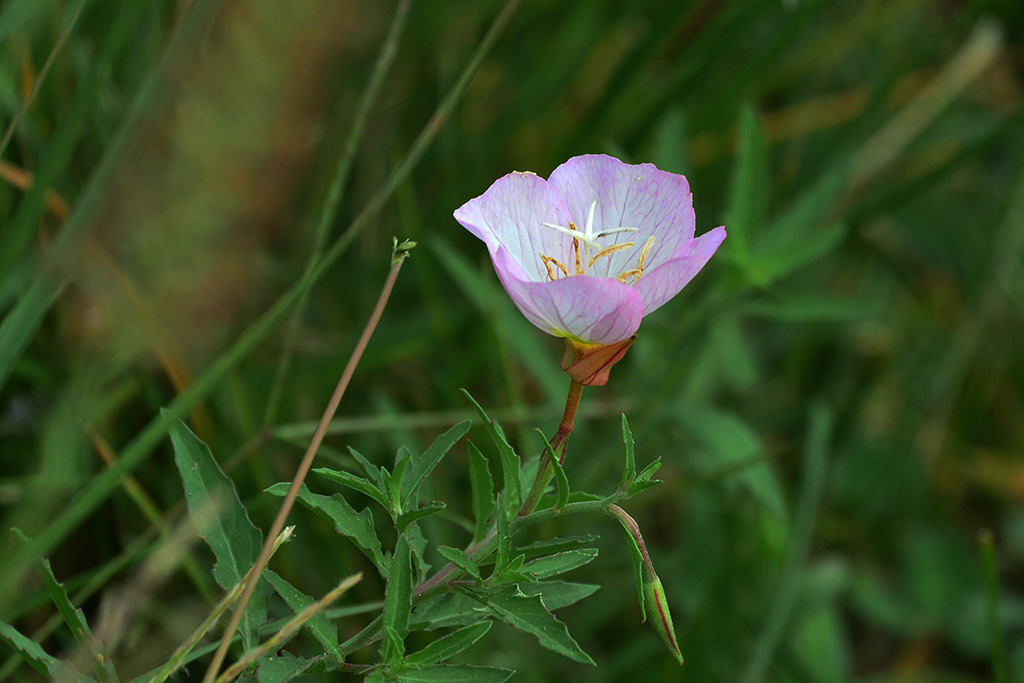DSC_0256副本.jpg