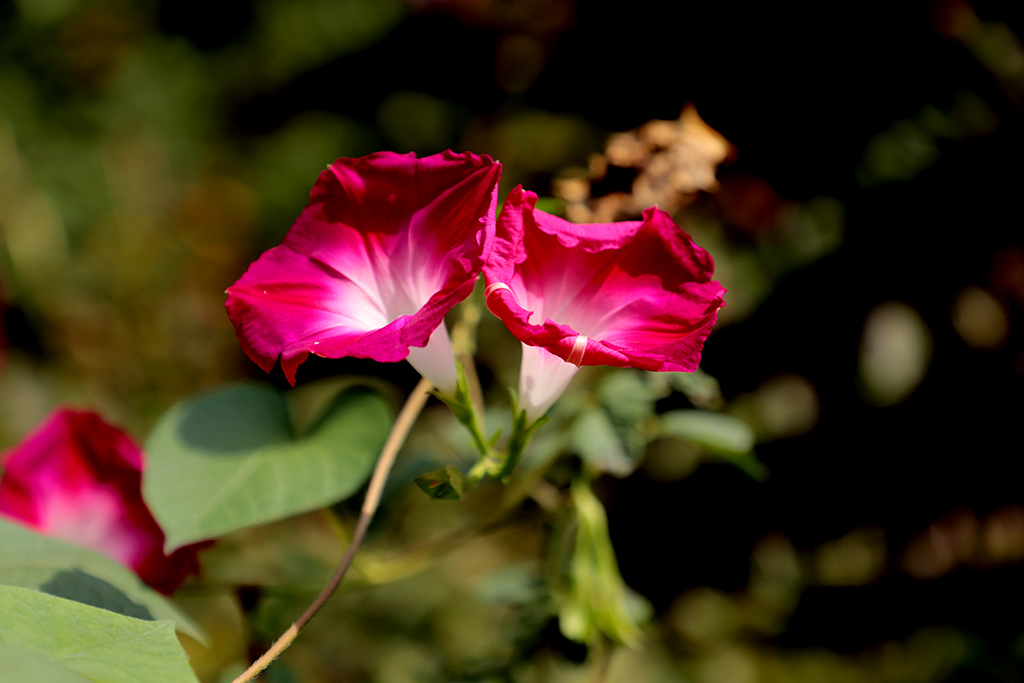 IMG_6169副本.jpg