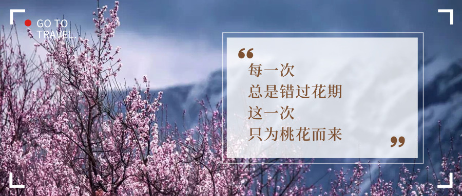 5天封面.jpg