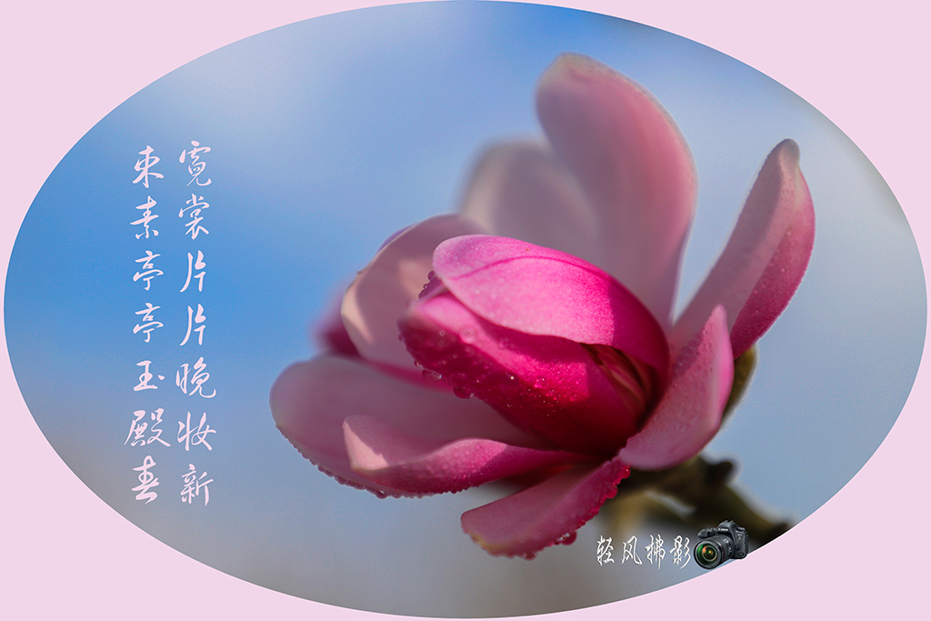 IMG_0747.1.jpg