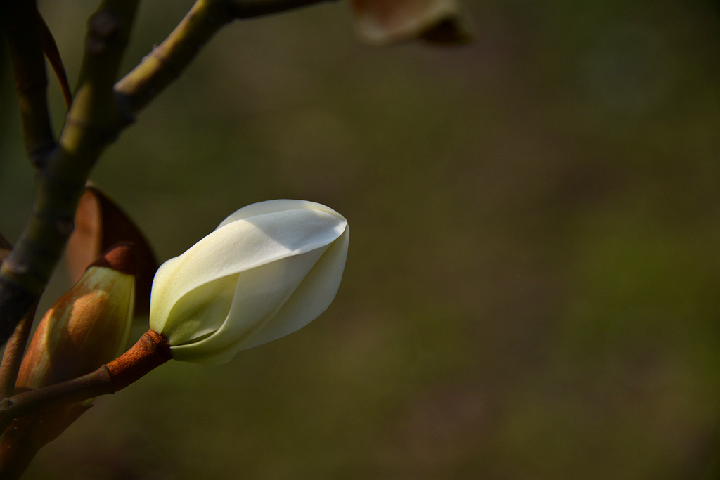 DSC_3709.JPG
