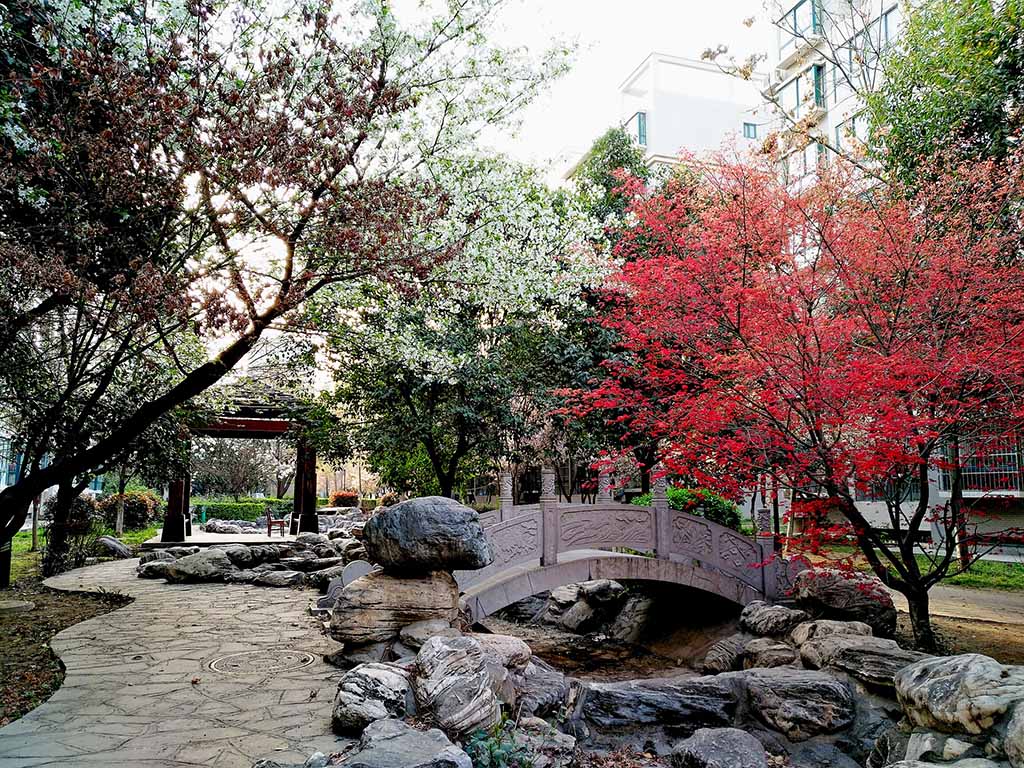 IMG_20190324_183238副本.jpg