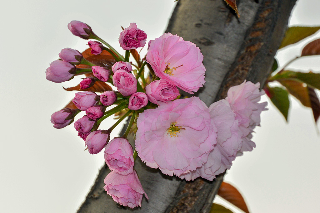 DSC_1080副本.jpg