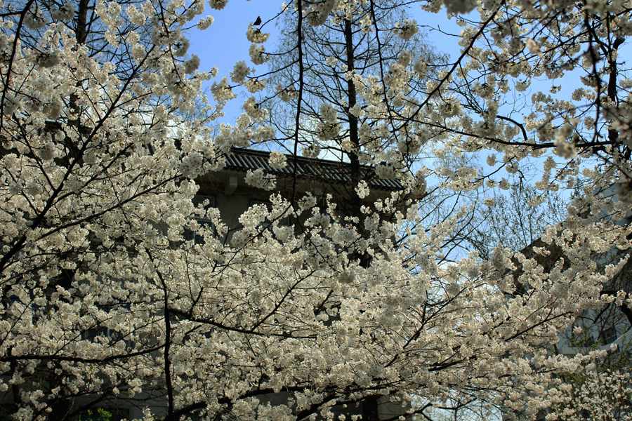 IMG3436.jpg