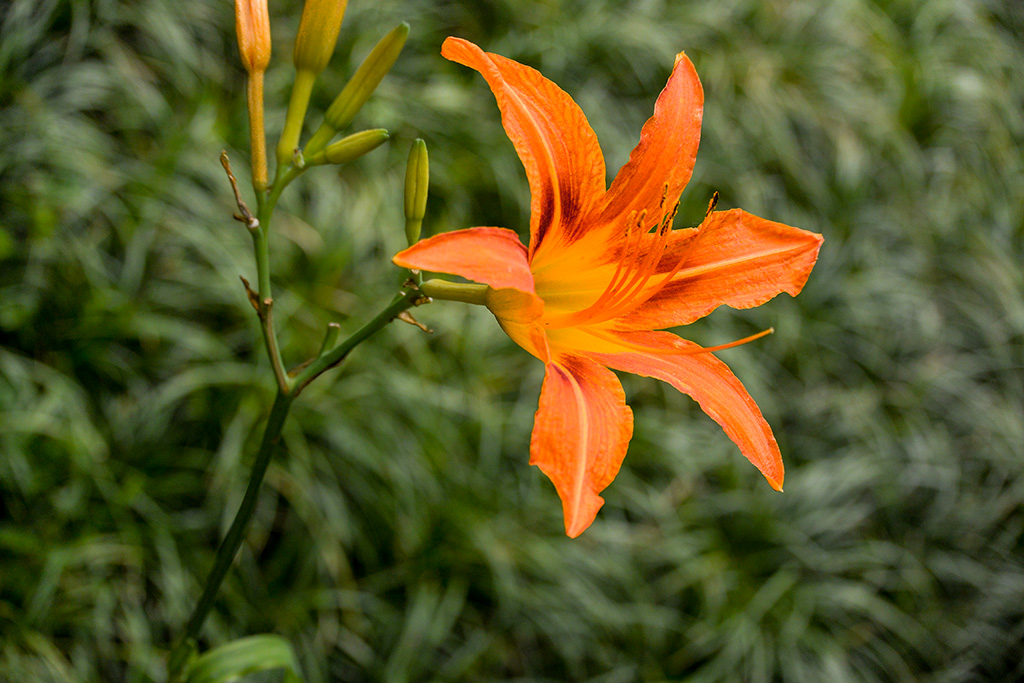DSC_1362副本.jpg