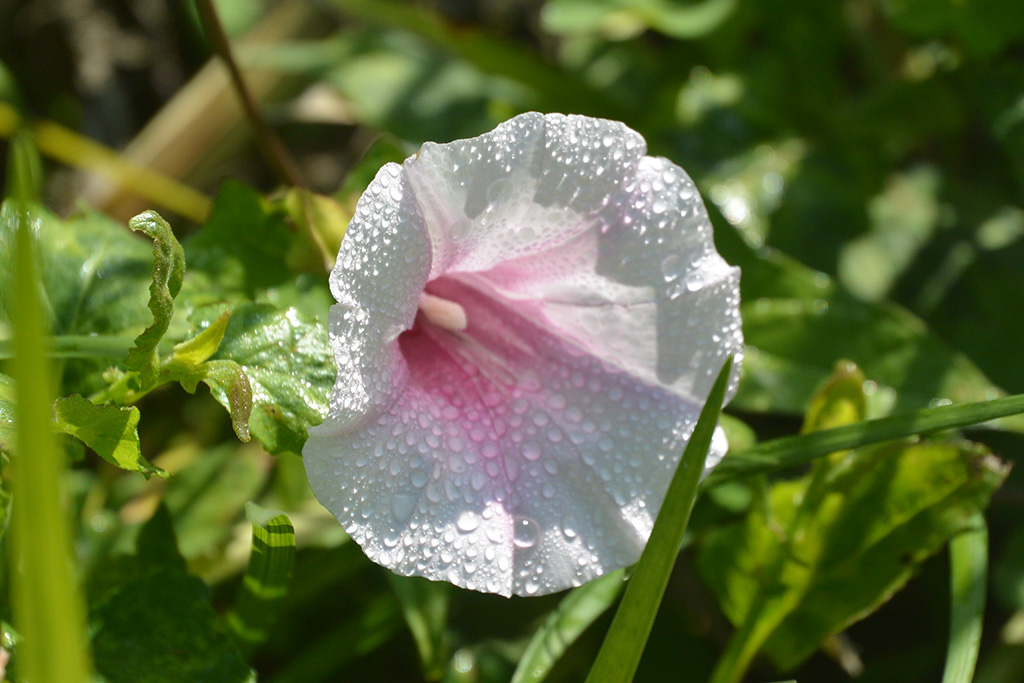 DSC_1310副本.jpg