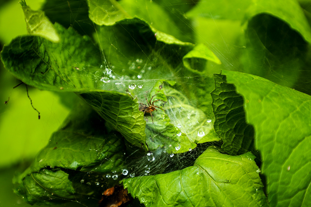 IMG_3735副本.jpg