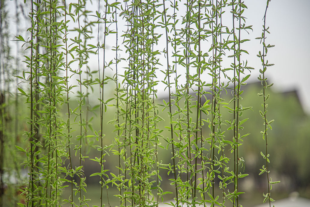 IMG_0863副本.jpg