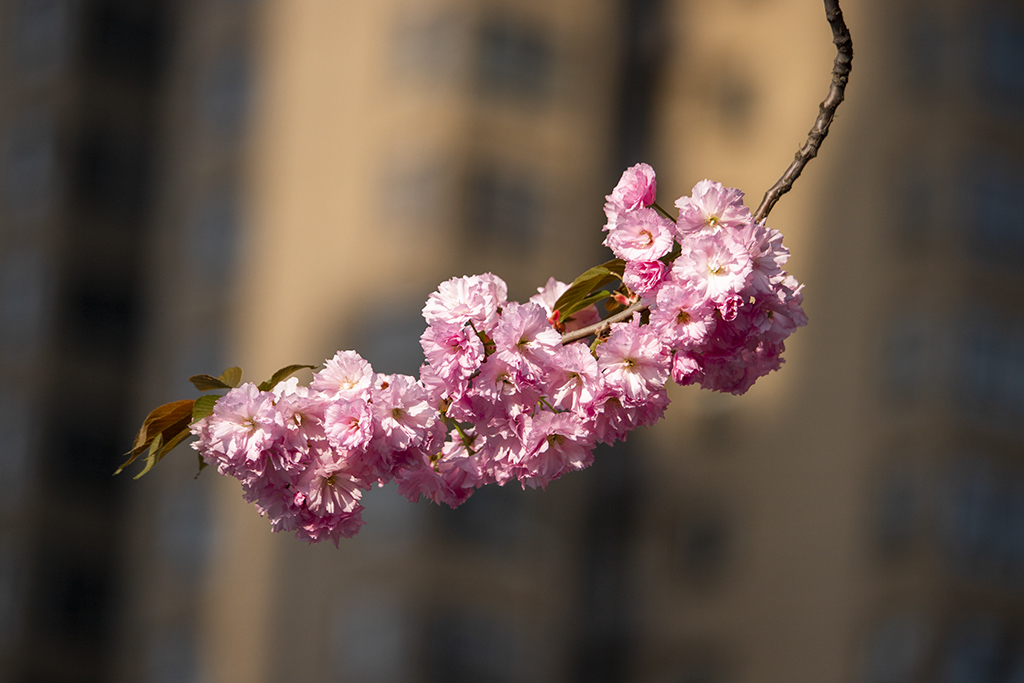 IMG_1030副本.jpg