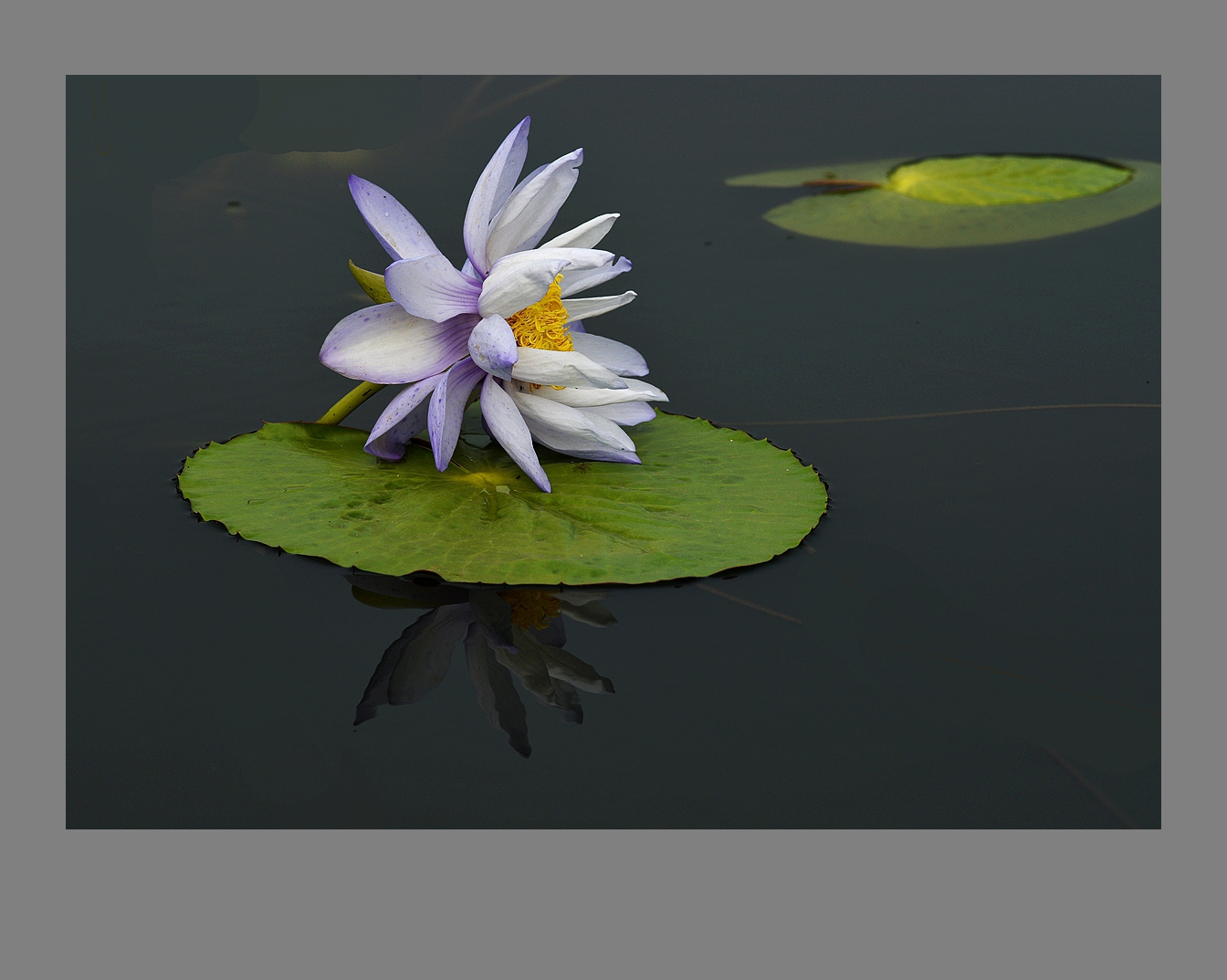 DSC_9471.JPG