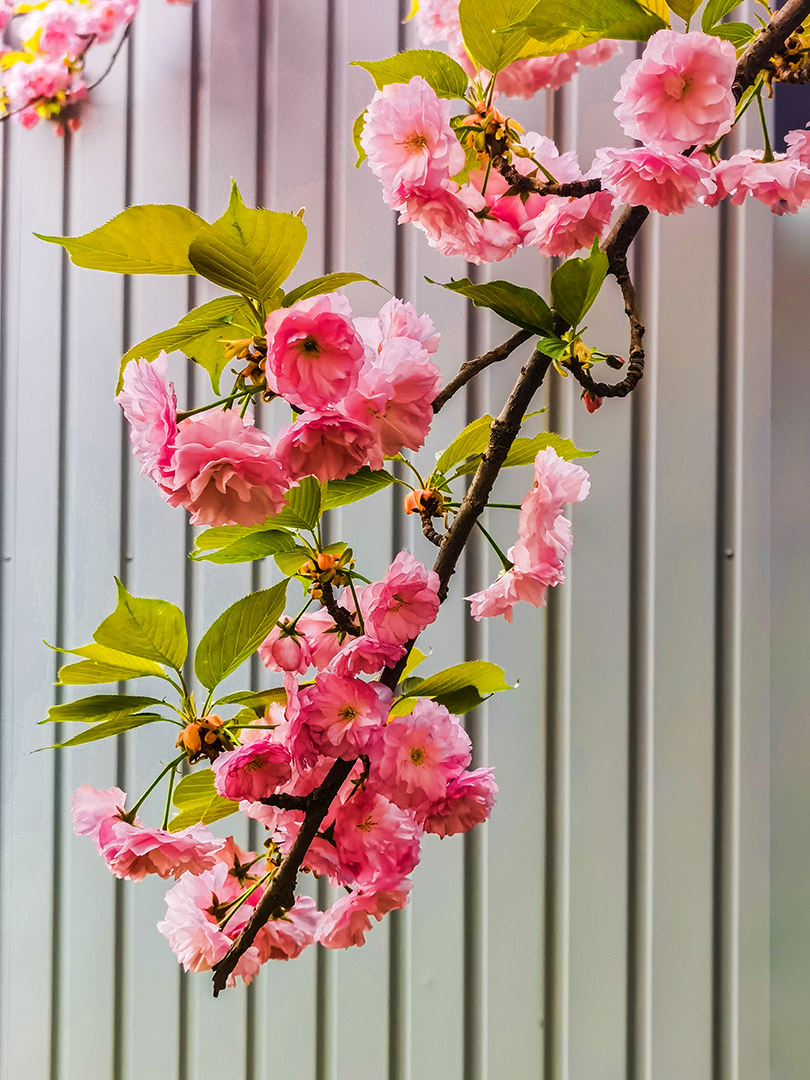 IMG_20220330_142132副本.jpg