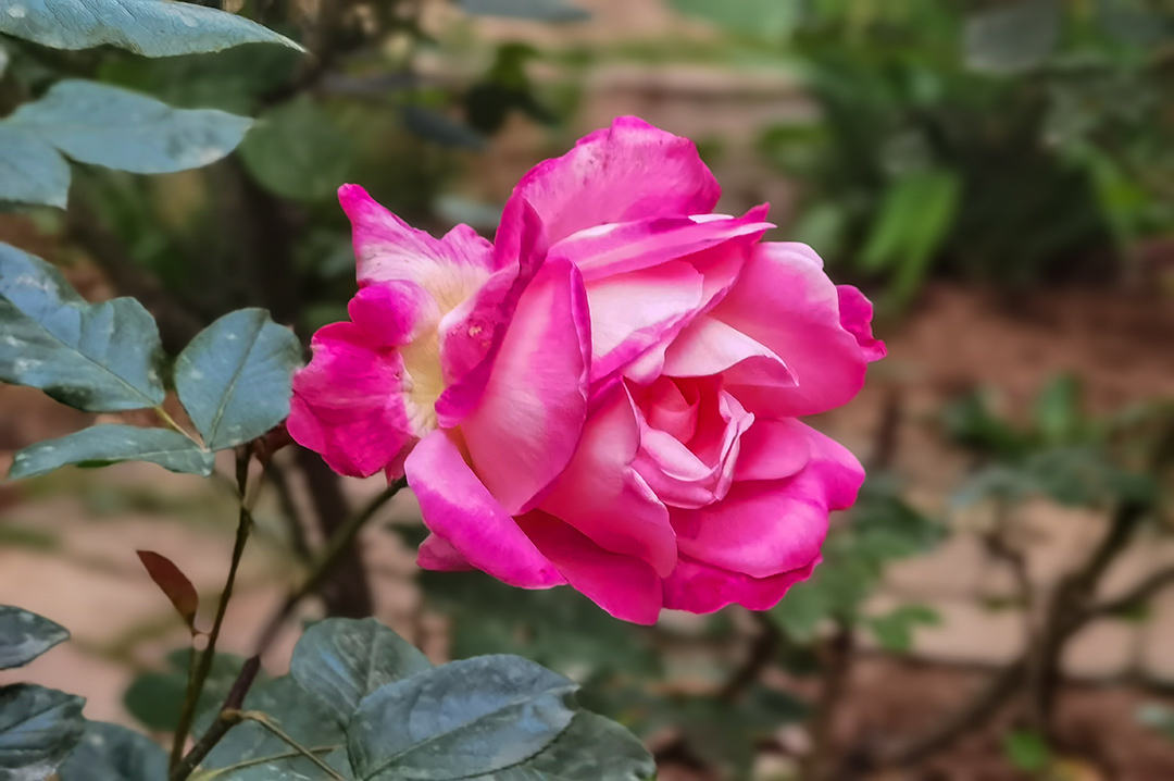 IMG_20220419_191048副本.jpg
