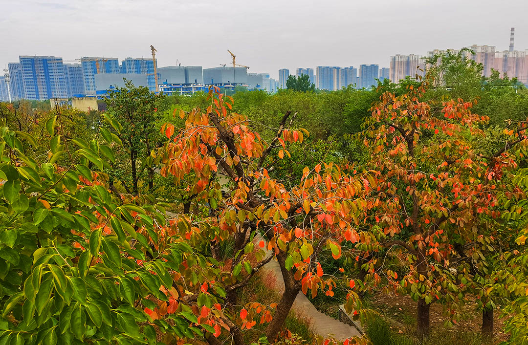 IMG_20221014_142631副本.jpg