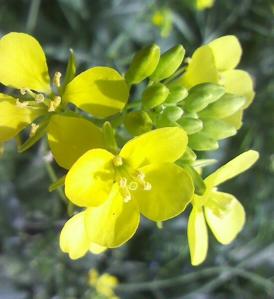 管