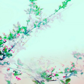 幻梦--西府海棠