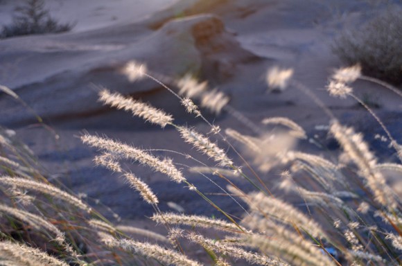 陕北红柳林矿的深秋