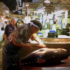 24小时全球影像接力（二）